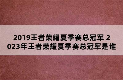 2019王者荣耀夏季赛总冠军 2023年王者荣耀夏季赛总冠军是谁